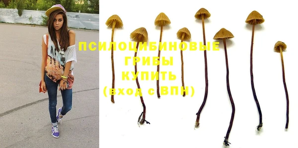 PSILOCYBIN Бугульма