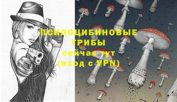 мдма Бородино