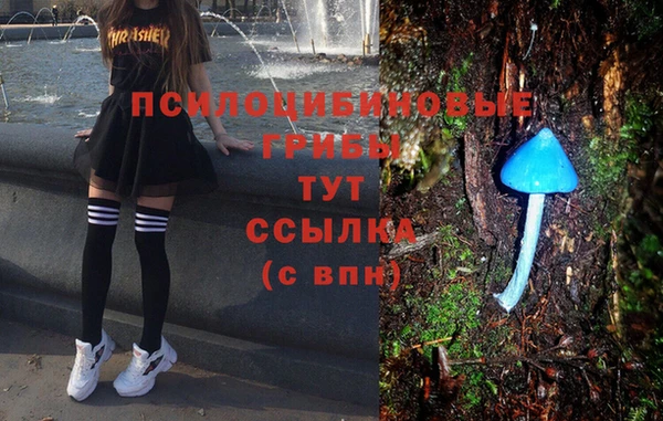 соль ск Богородск