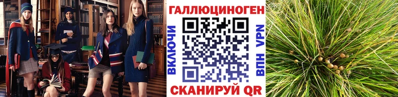 Псилоцибиновые грибы мицелий Мурино